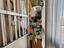 Immagine 27