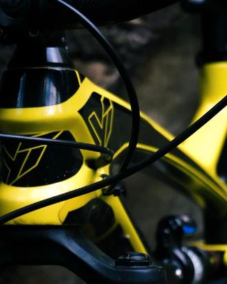 yt capra 2018