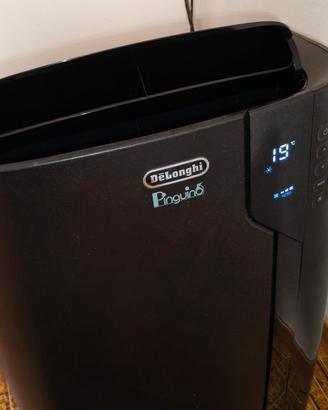 Climatizzatore de longhi PAC ex120