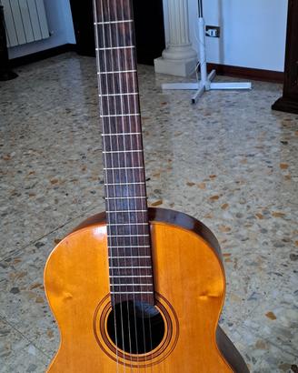 Di Giorgio Estudante  18 
