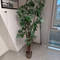 Pianta artificiale