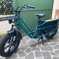 Cargo Bike Fiido T2 e-bike longtail bici elettrica