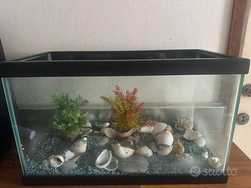 Acquario