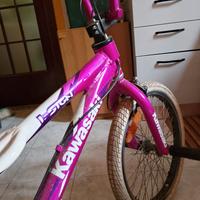 bicicletta 20'pollici