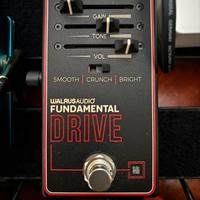 Walrus fundamental drive