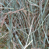 Fieno in rotoballe