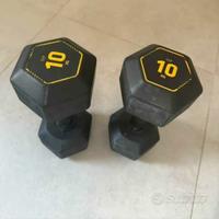 manubri 20 kg