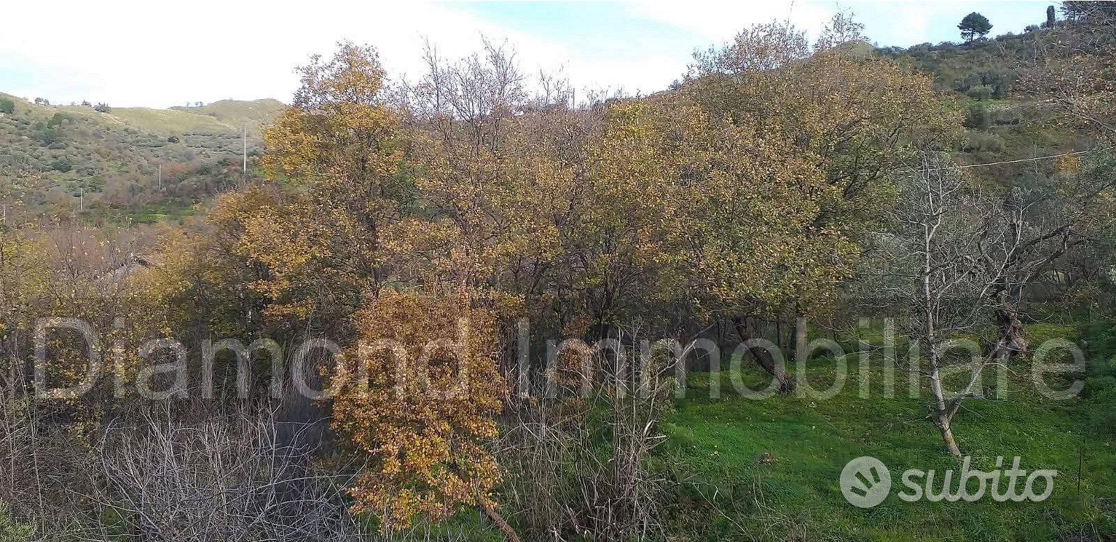 Proprietà agricola con casolare a Linguaglossa - Vista 5