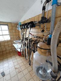 Impianto mungitura professionale 