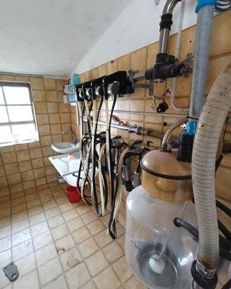 Impianto mungitura professionale 