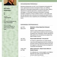 Ruolo di responsabilità/manageriale