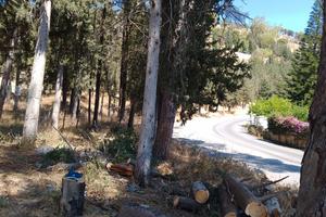 Terreno a Palermo