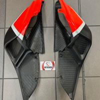 Codino in carbonio Panigale 1199-1299