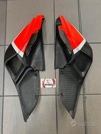 Codino in carbonio Panigale 1199-1299
