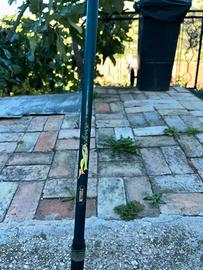 4 Canne da pesca e 1 mulinello spinning o mare