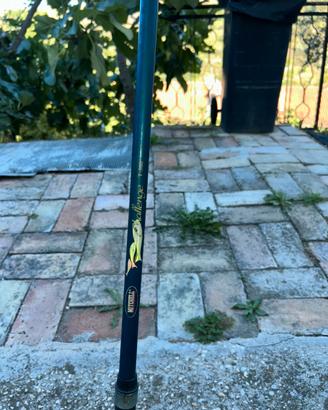 4 Canne da pesca e 1 mulinello spinning o mare