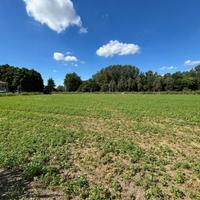 lotto di terreno agricolo con fienile