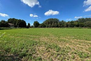 lotto di terreno agricolo con fienile