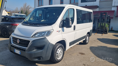 Fiat Ducato Panorama 9 posti 2.3 MJT 150 CV - 2017