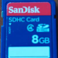 Scheda di memoria Lexar 8GB SDHC