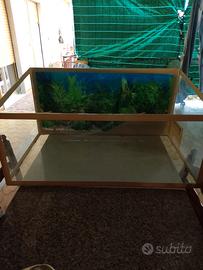 acquario x tartarughe 