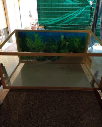 acquario x tartarughe 