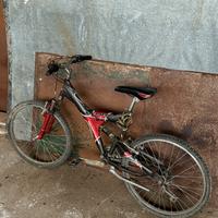 Bici MTB Ragazzo