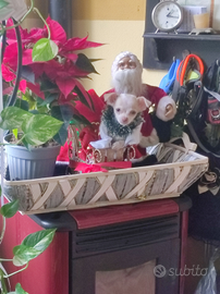 Chanel chihuahua mini Toy cucciola