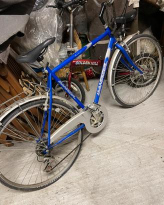 Bicicletta da uomo