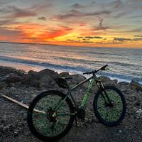 Bici MTB 29”