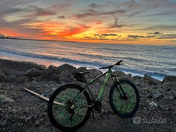 Bici MTB 29”