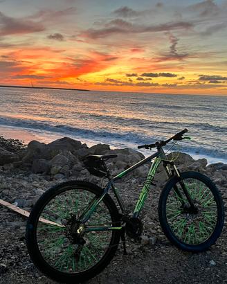 Bici MTB 29”