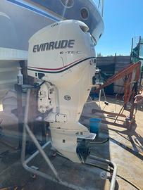 Coppia Evinrude e-tec 250