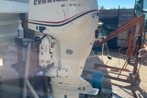 Coppia Evinrude e-tec 250