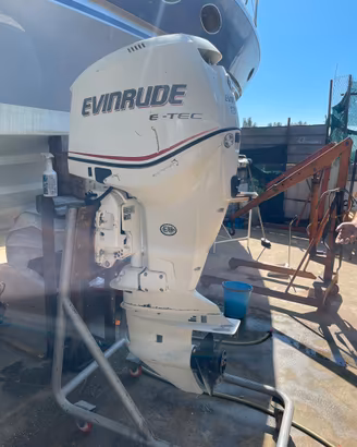 Coppia Evinrude e-tec 250