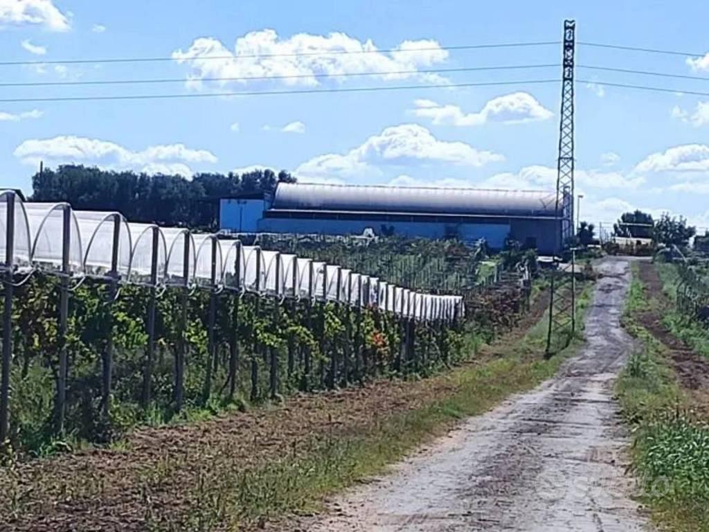Immobile in asta di 35652 m² a Licodia Eubea - Altro