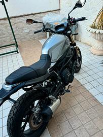 Benelli Leoncino 800 Nuova