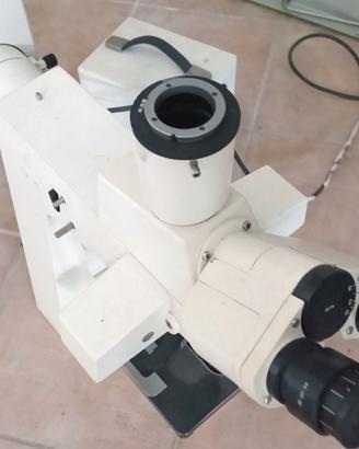 Microscopio Zeiss Axioskop