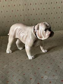 Royal Doulton porcellana  bull dog bianco