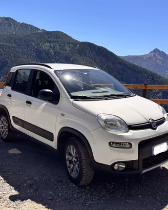 Fiat Panda 4x4 0.9 TwinAir Turbo 85 CV S&S (2020)