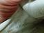 Immagine 5