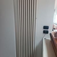 2 Termosifoni verticali grandi moderni