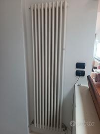 2 Termosifoni verticali grandi moderni