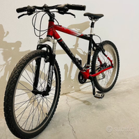 Mountain bike BLACK BEAR professional