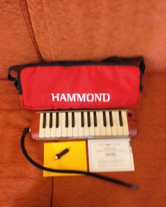 Hammond Melodion PRO-27S