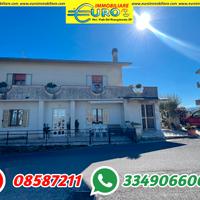 Casa Singola con un ettaro di Uliveto