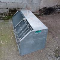 Transporter per i cani 2 posti.