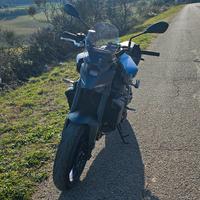 cupolino Puig NG Touring MT 09 2024-2025