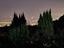 Immagine 9