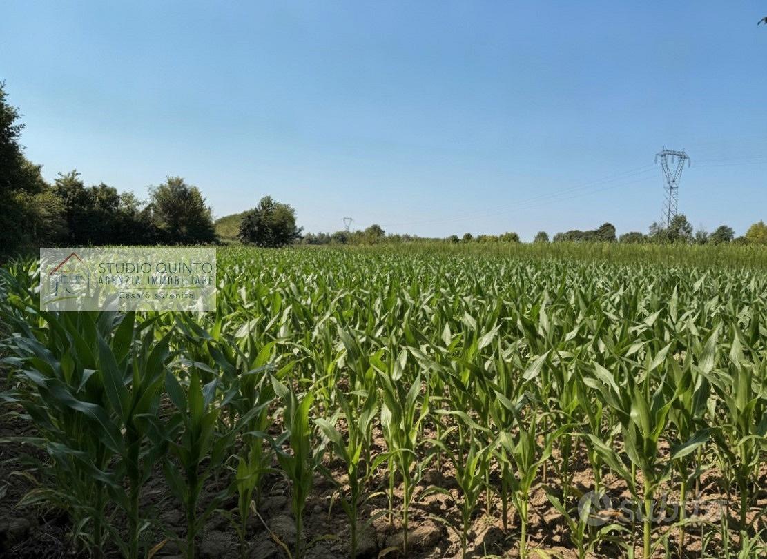 Terreno agricolo di mq. 4520 ca - Vista 3
